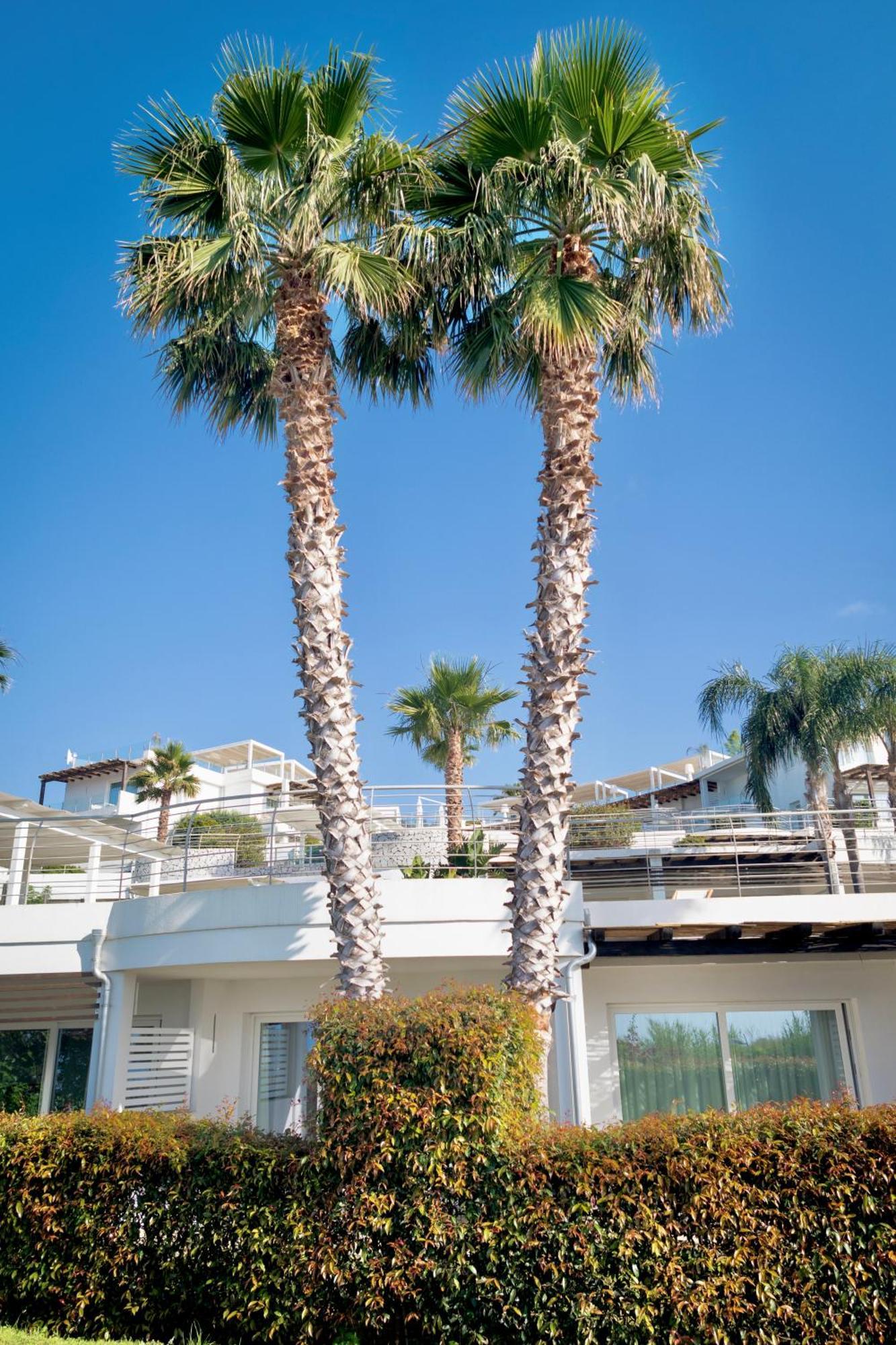 Infinity Resort Tropea Parghelia Exterior photo